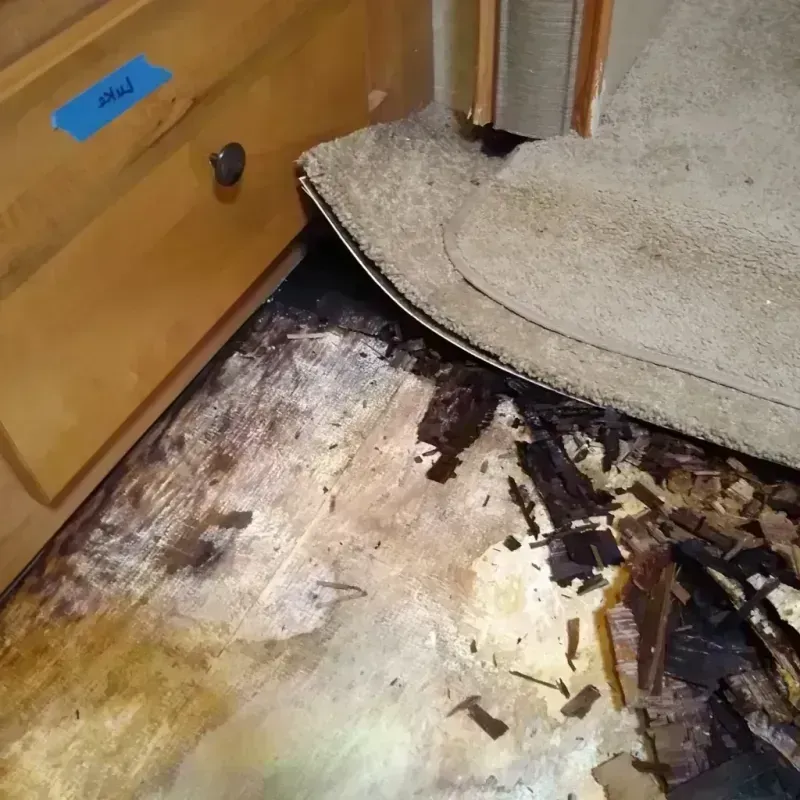 Wood Floor Water Damage in Clifton, TX